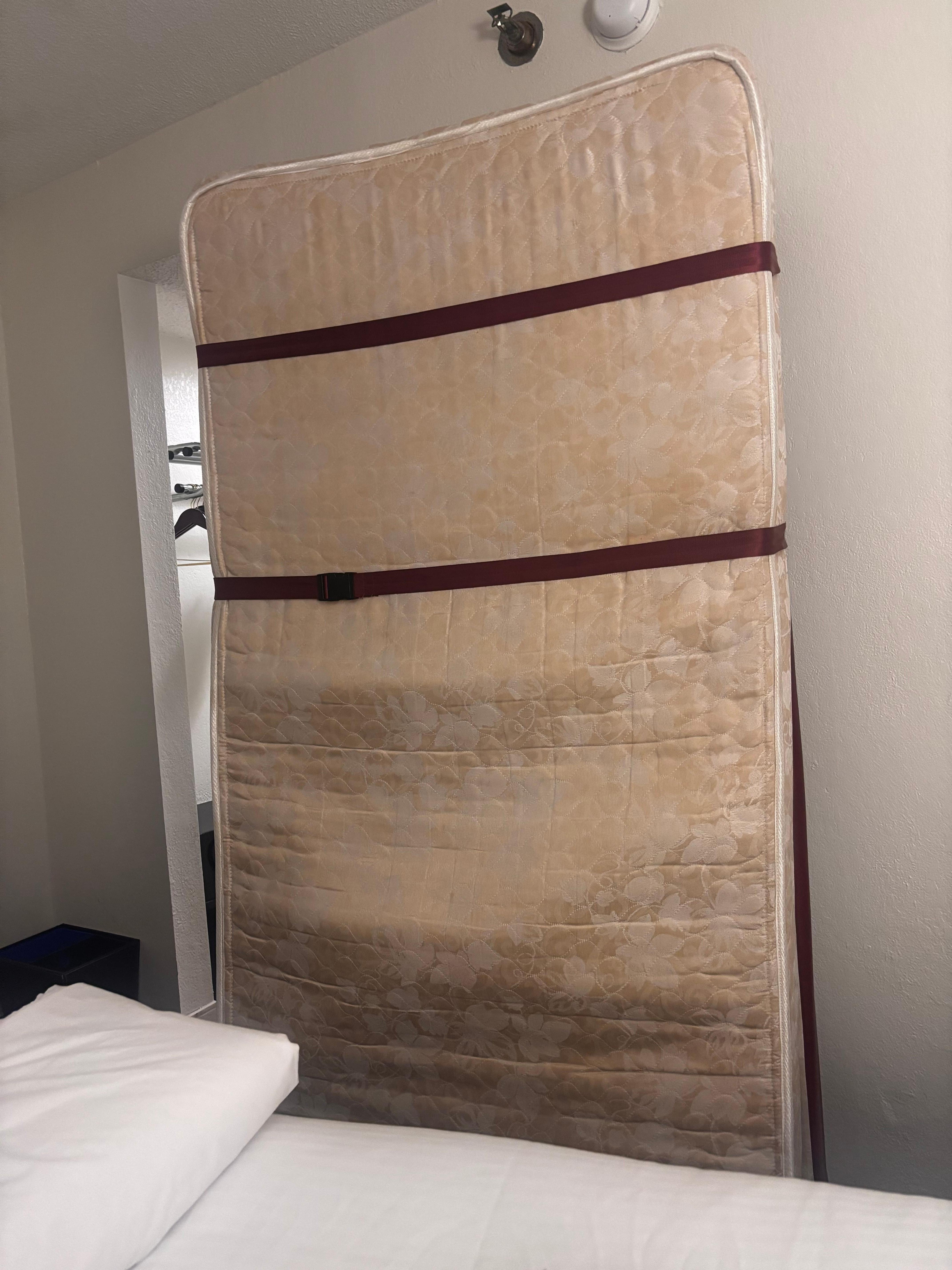 This is the roll away that was delivered. 🤢