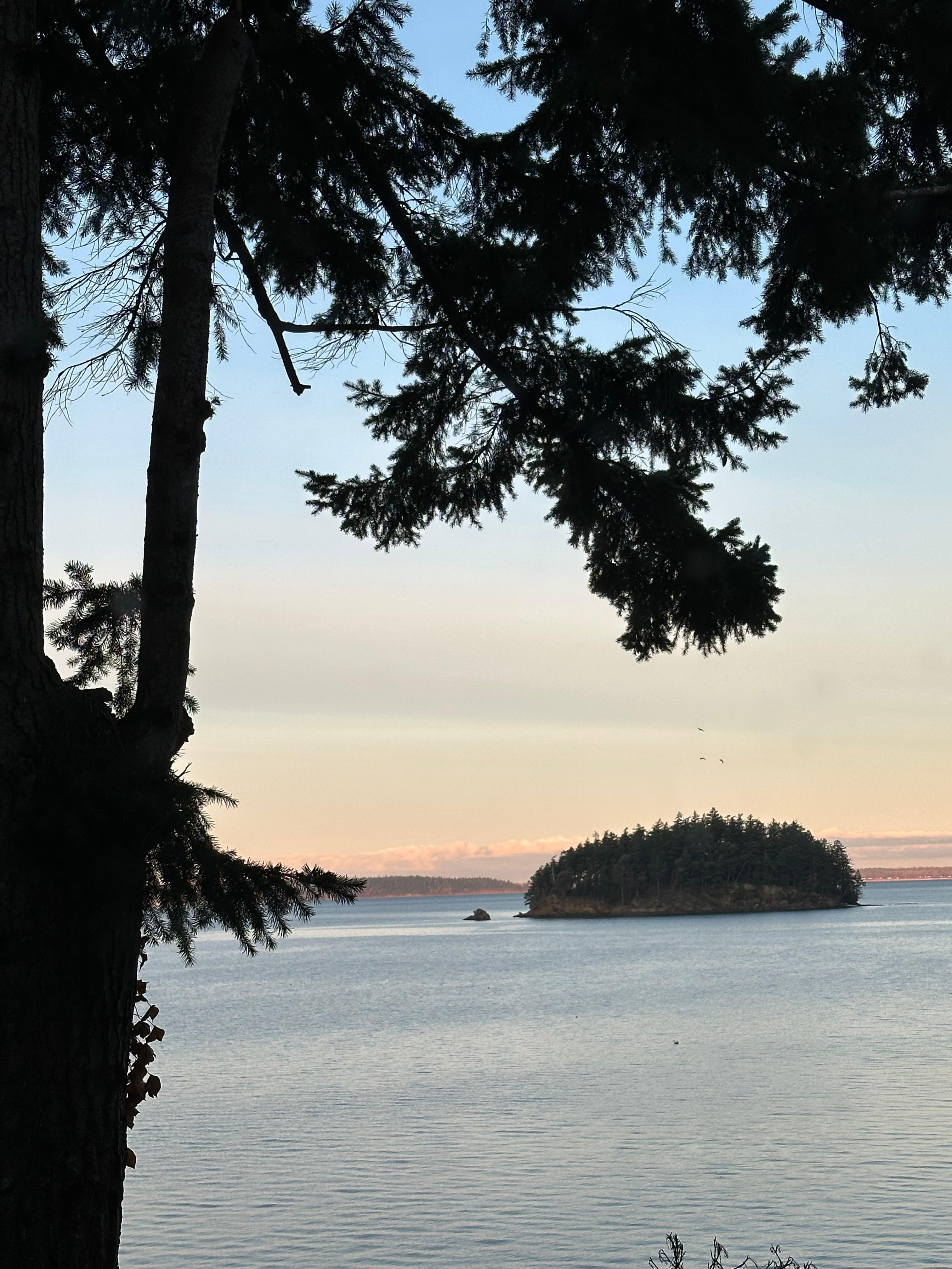 View from the living  area