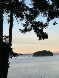 View from the living area