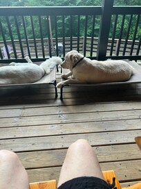 Relaxing