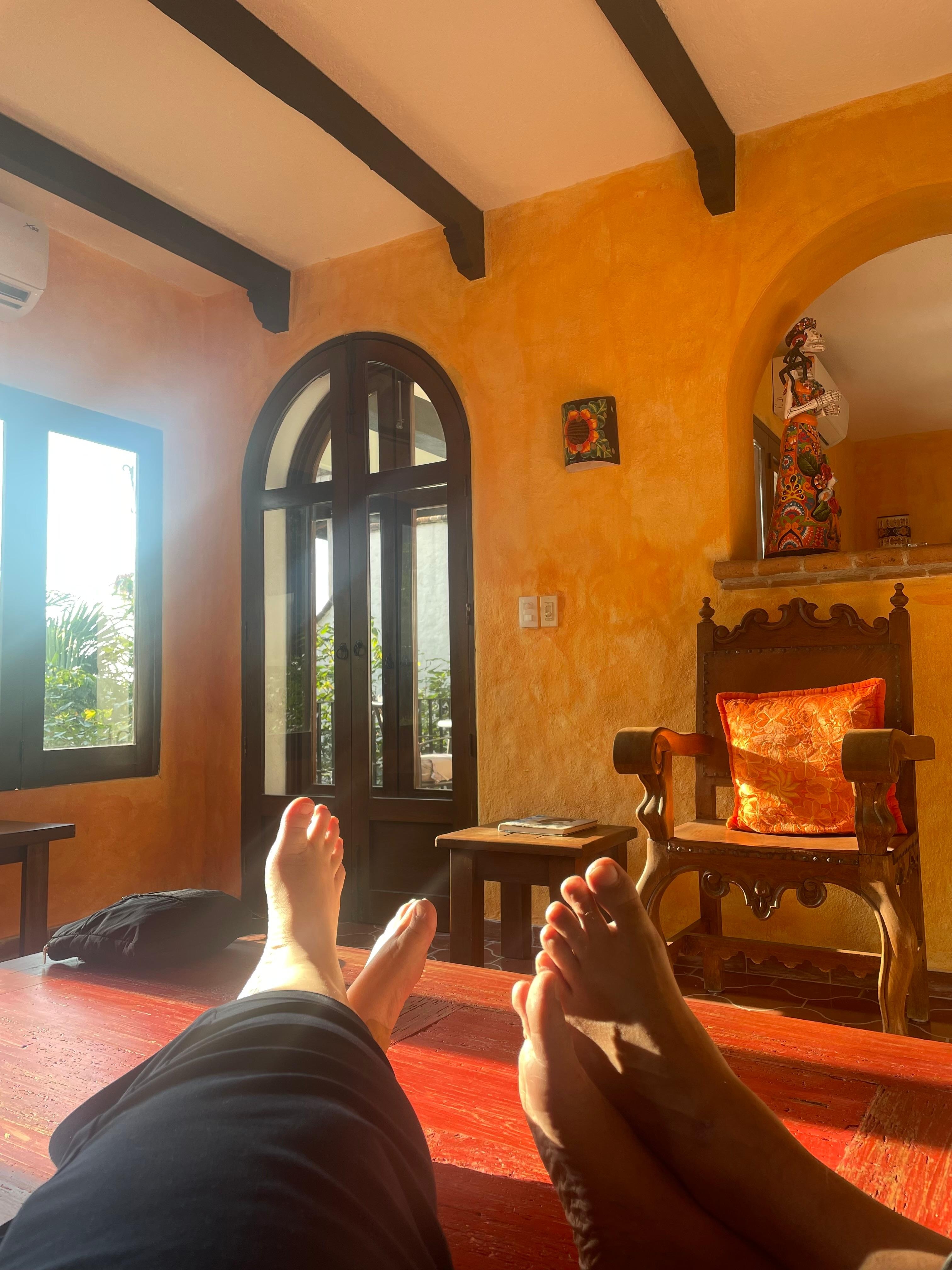 Relaxing in the living room after exploring the botanical garden all afternoon. 