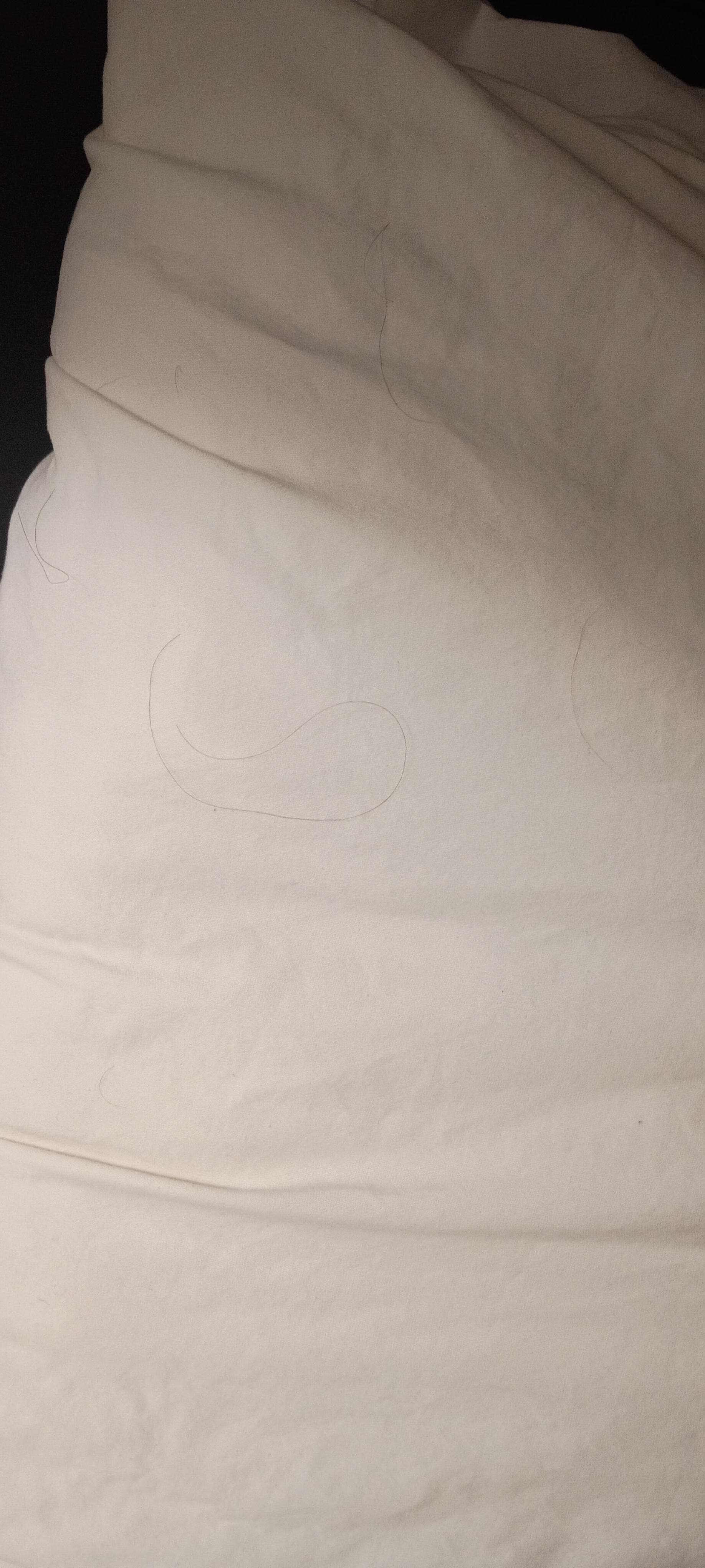 Hair in bed and on pillows don't think bedding was changed