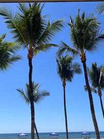 Beautiful palm trees along the beach