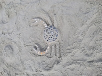 Sand Art