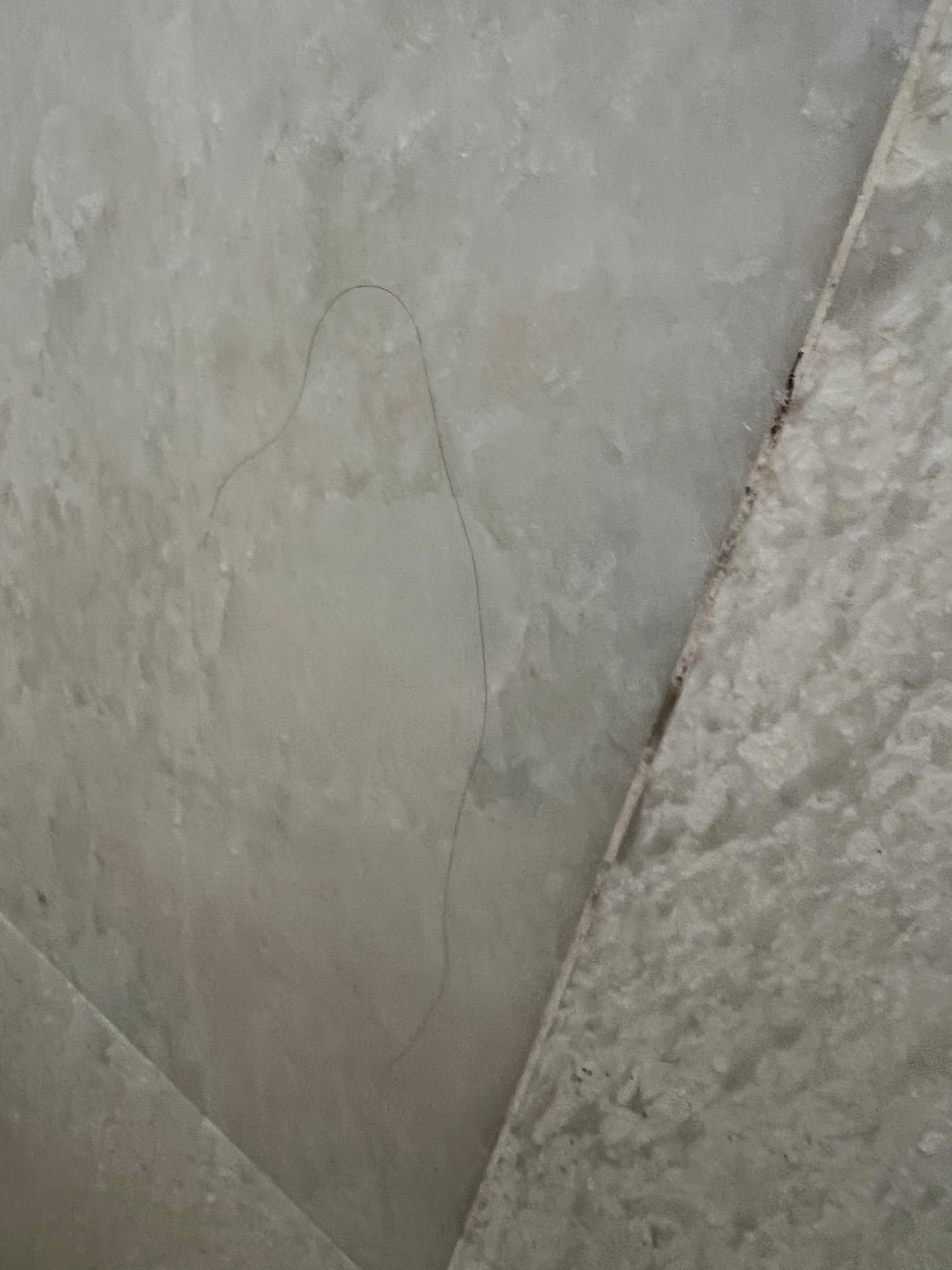 Hair on the shower walls 