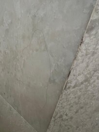 Hair on the shower walls