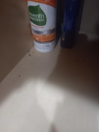 Mice poop under the sink