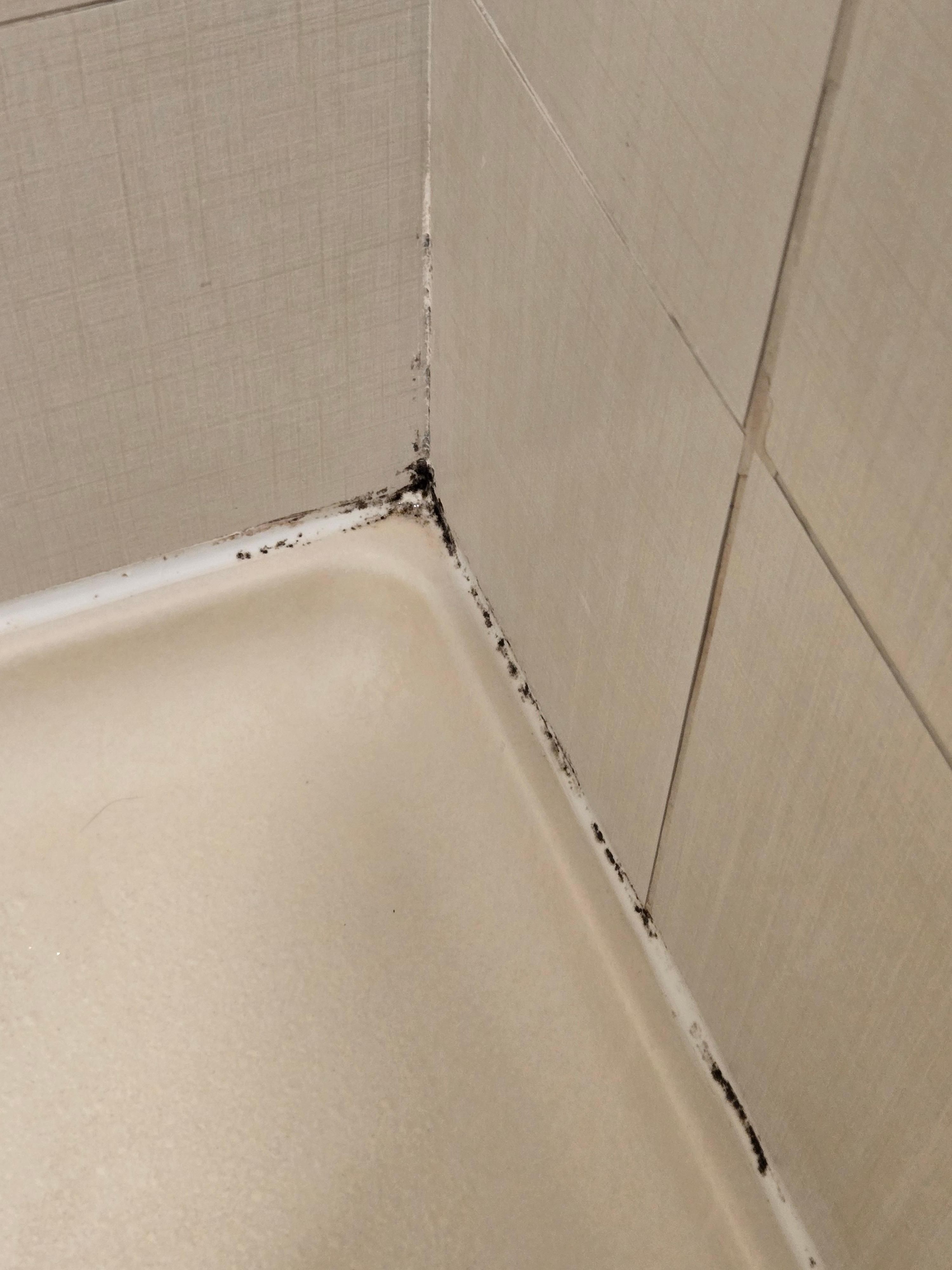 Do you like showering with mold?