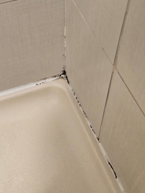 Do you like showering with mold?