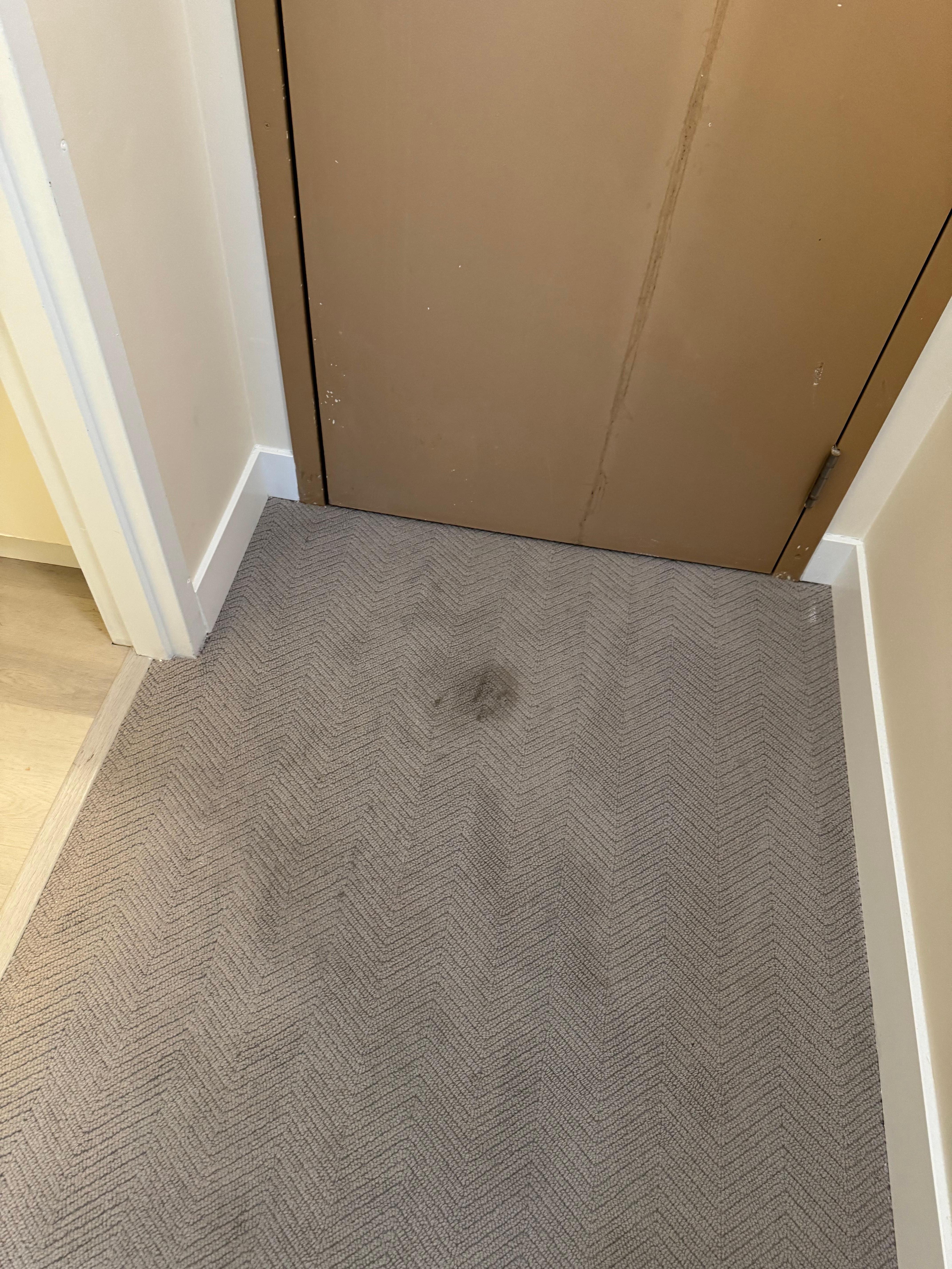 Stain on carpet