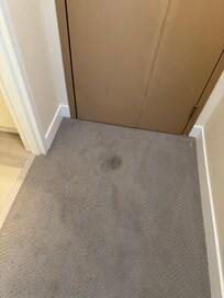 Stain on carpet
