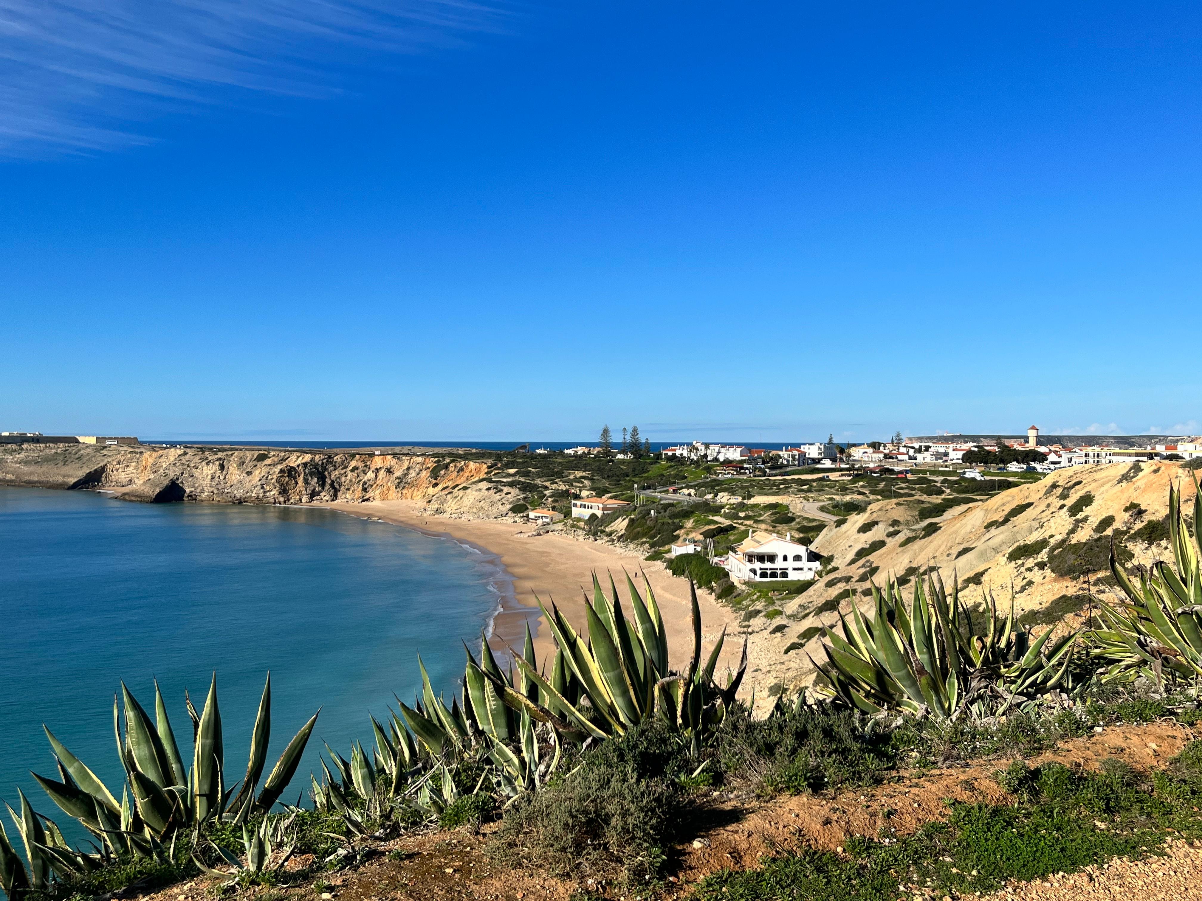 View from the terrace. 