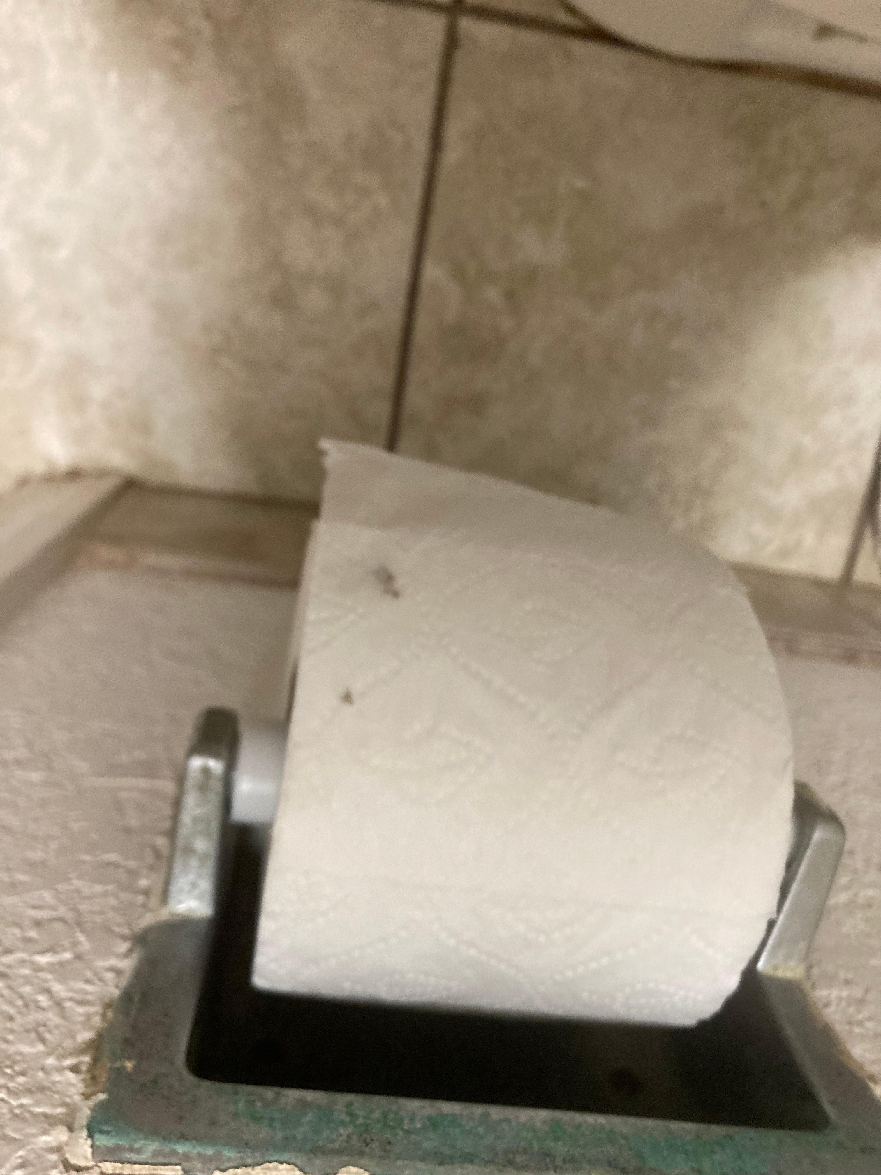 Molded Toilet Paper 