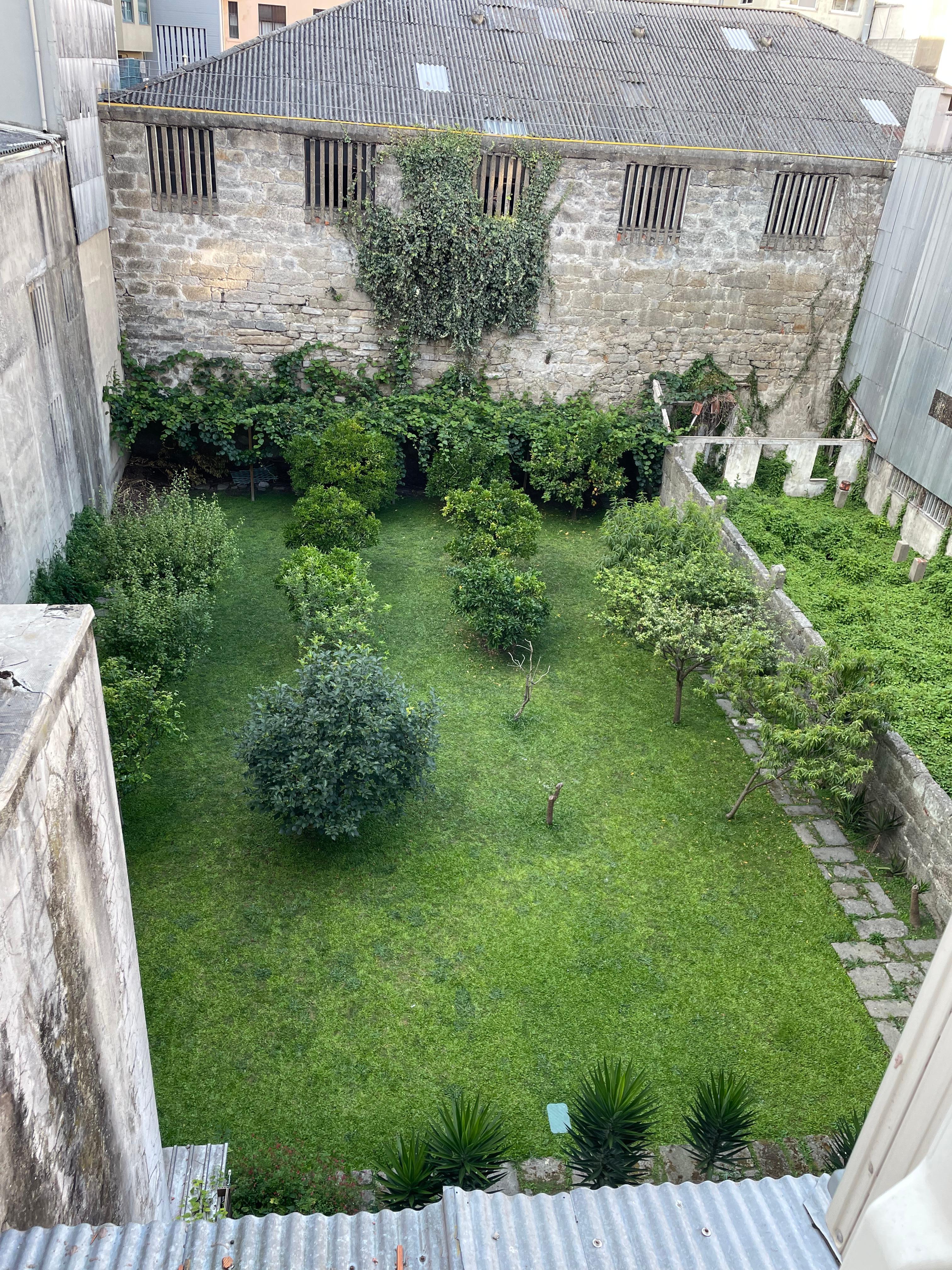 View from our apartment window to the garden below