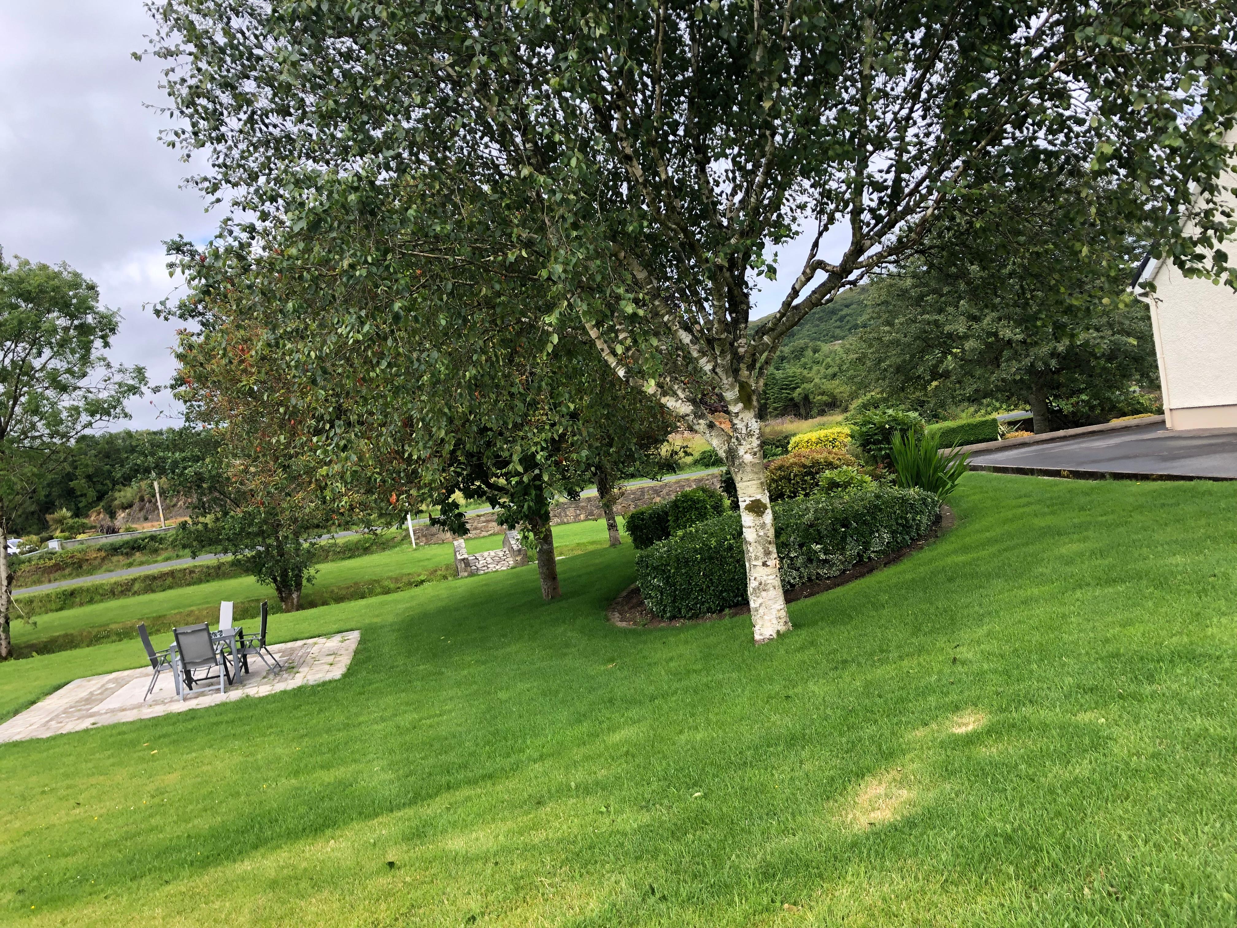 Side garden and patio