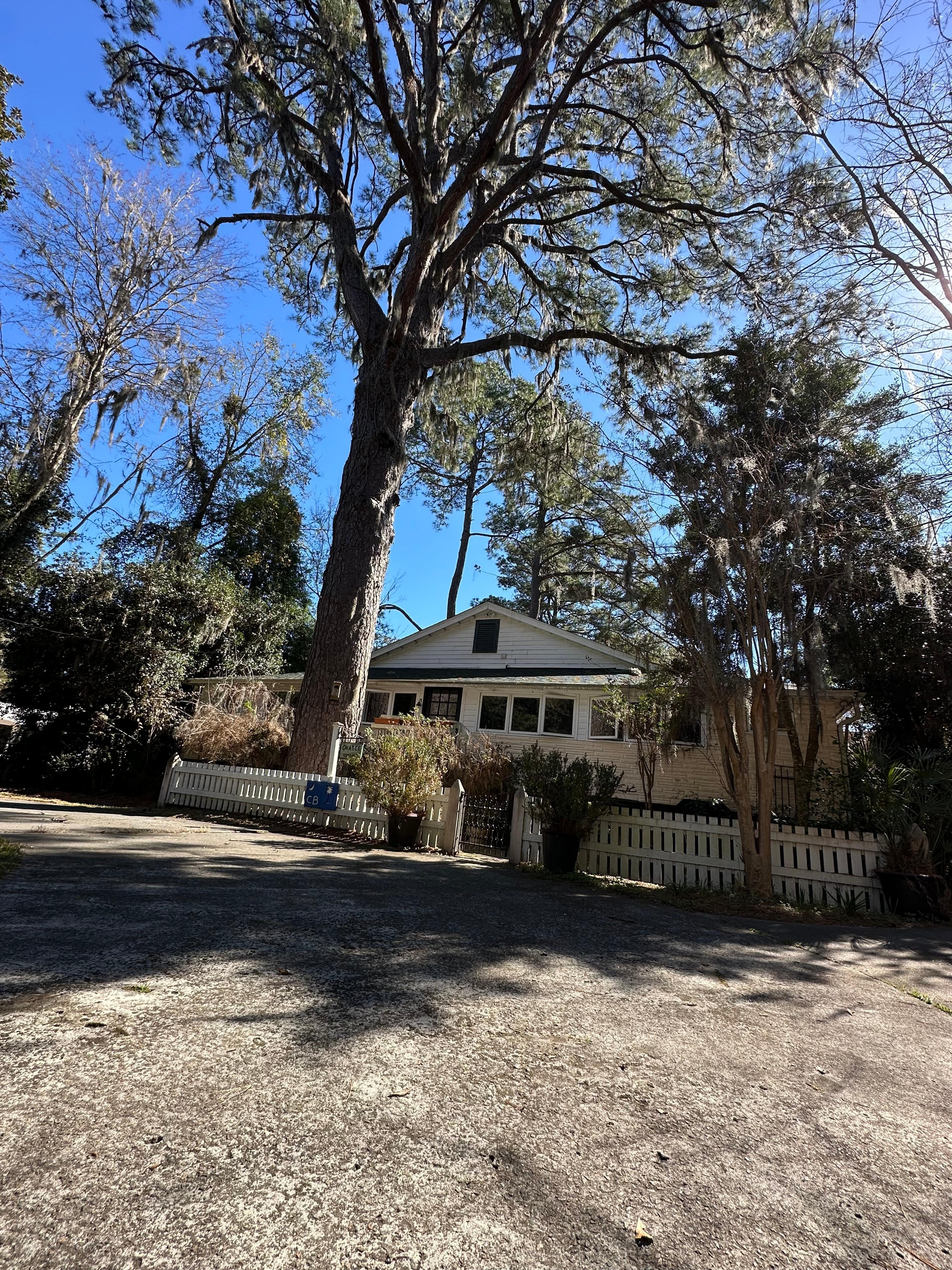 Cottage is surrounded by huge live oaks and pines. Tons of bird song, as well. 