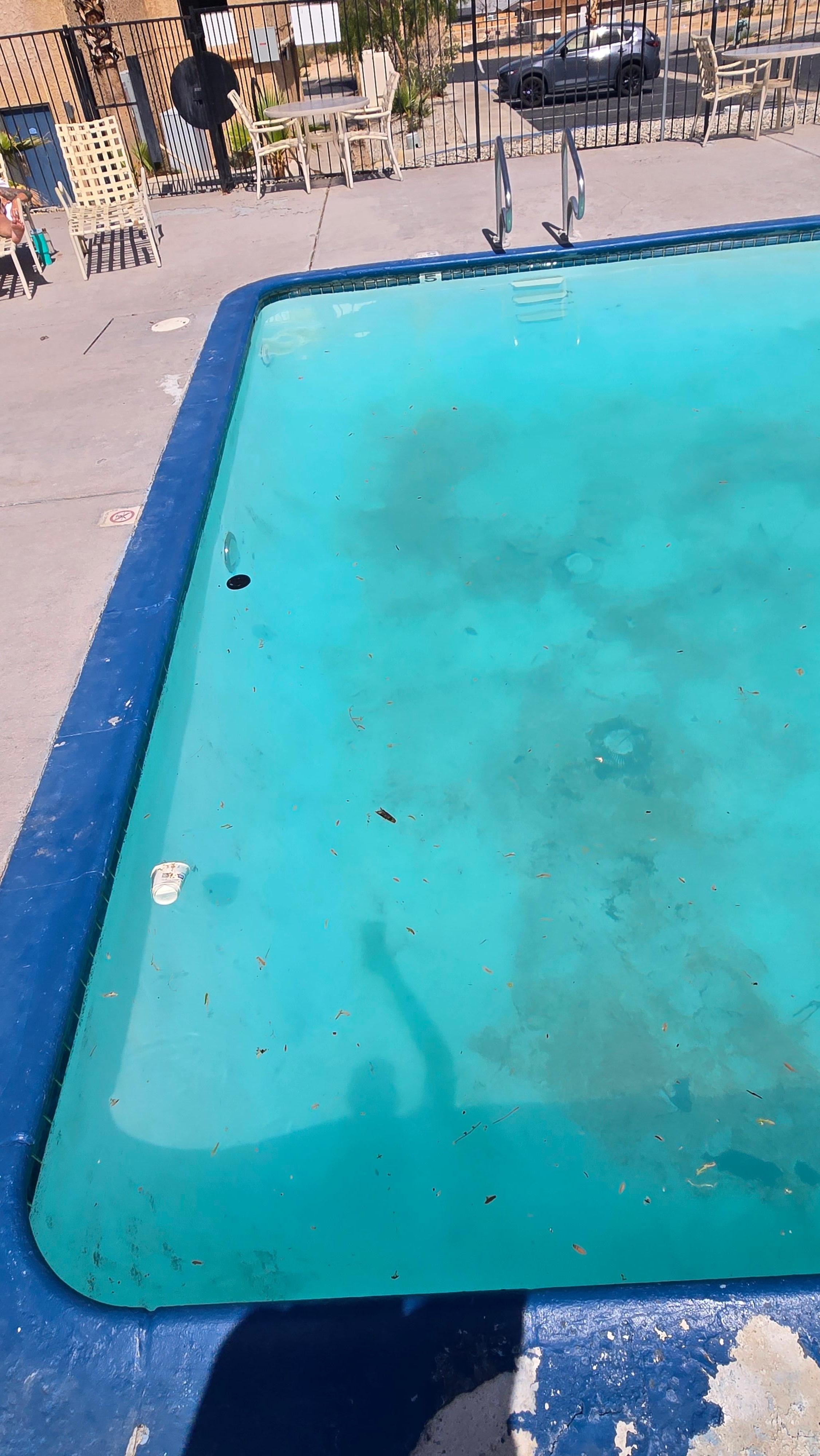 Dirty Pool water, floating trash.