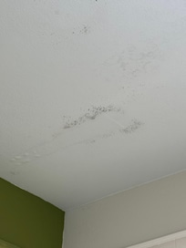 Mold on ceilings