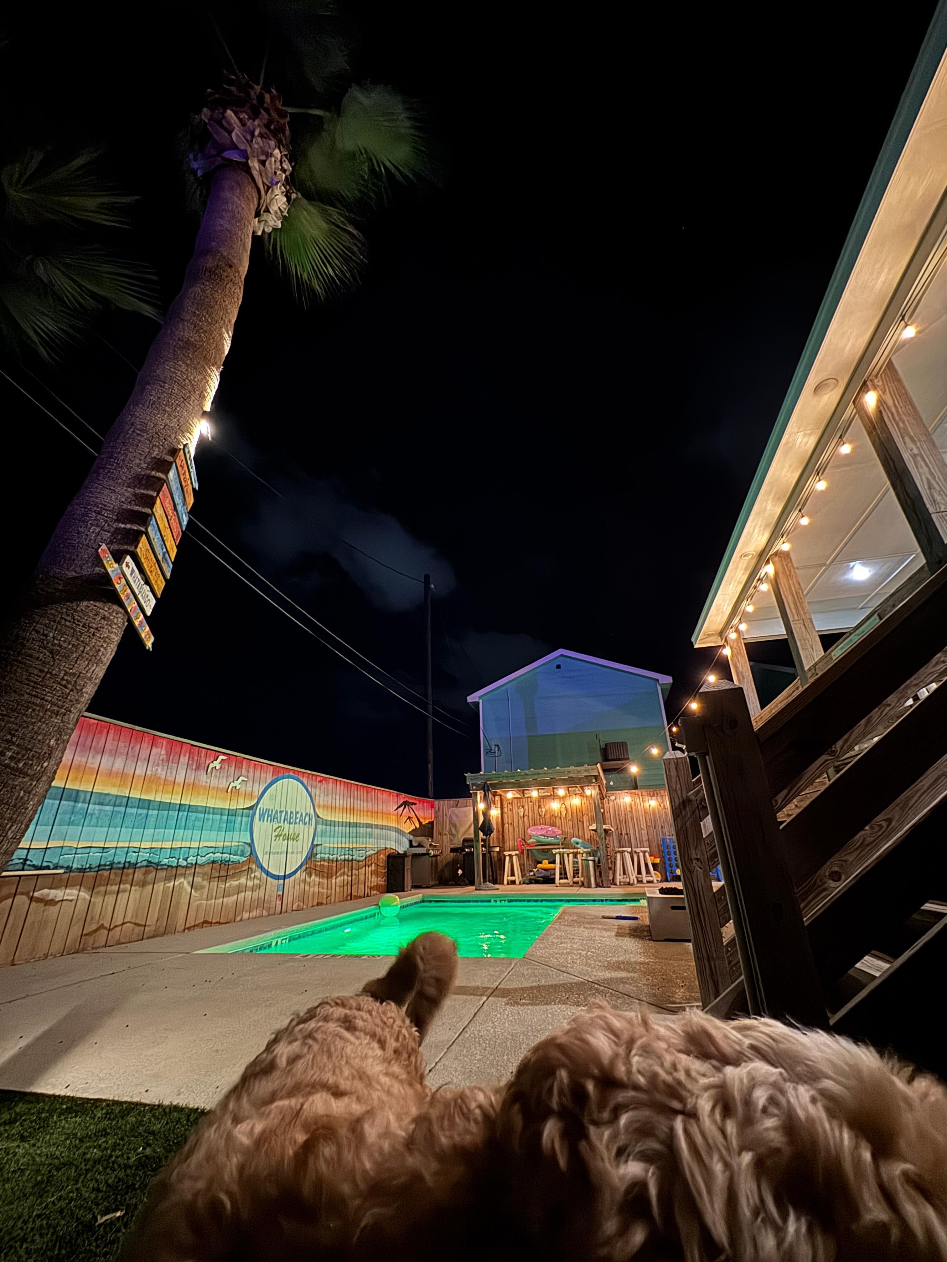 The backyard is AMAZING and PRIVATE with turf grass 