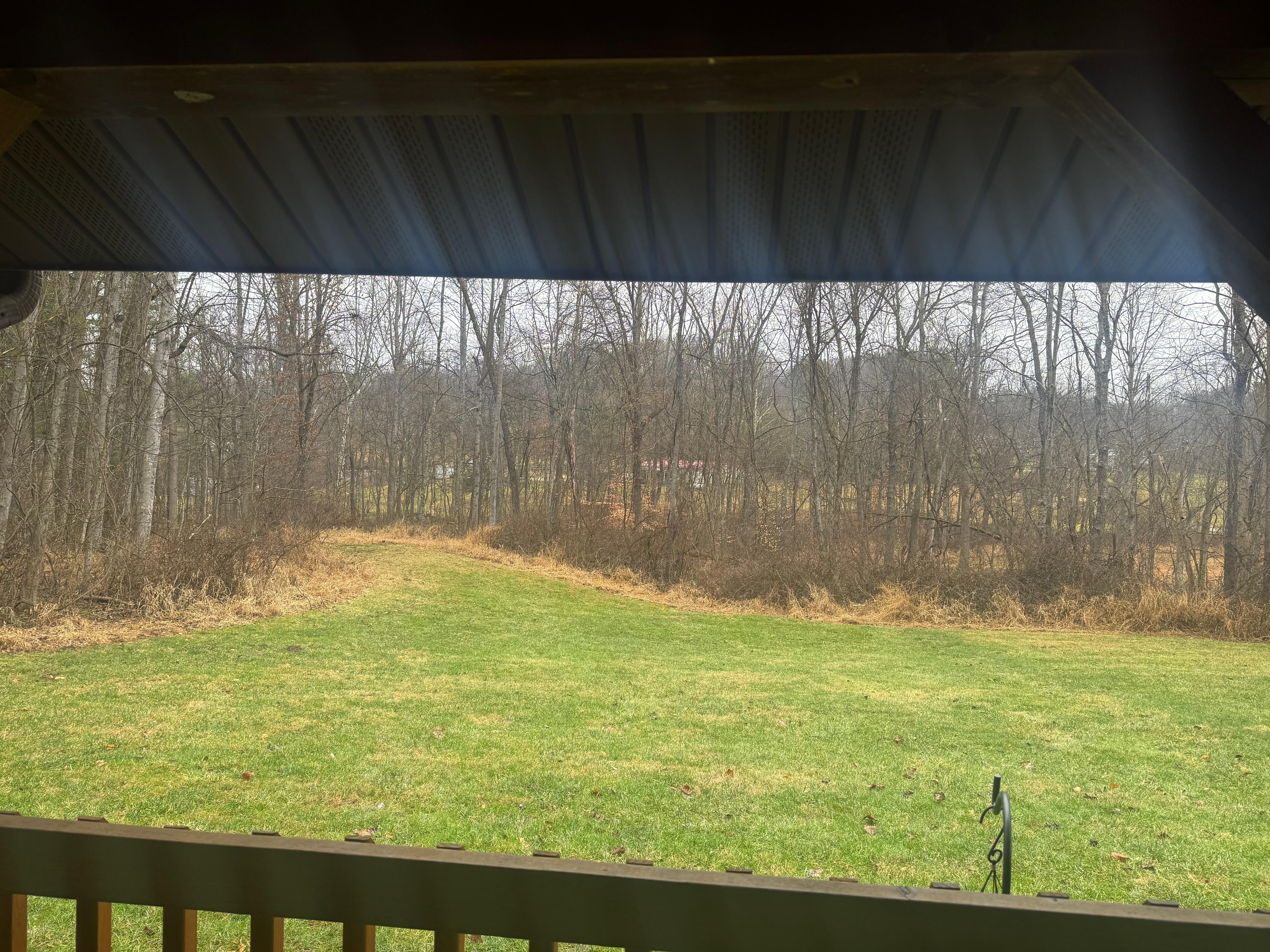 The front porch view in the morning 