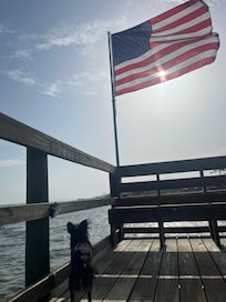 Off the dock on the property