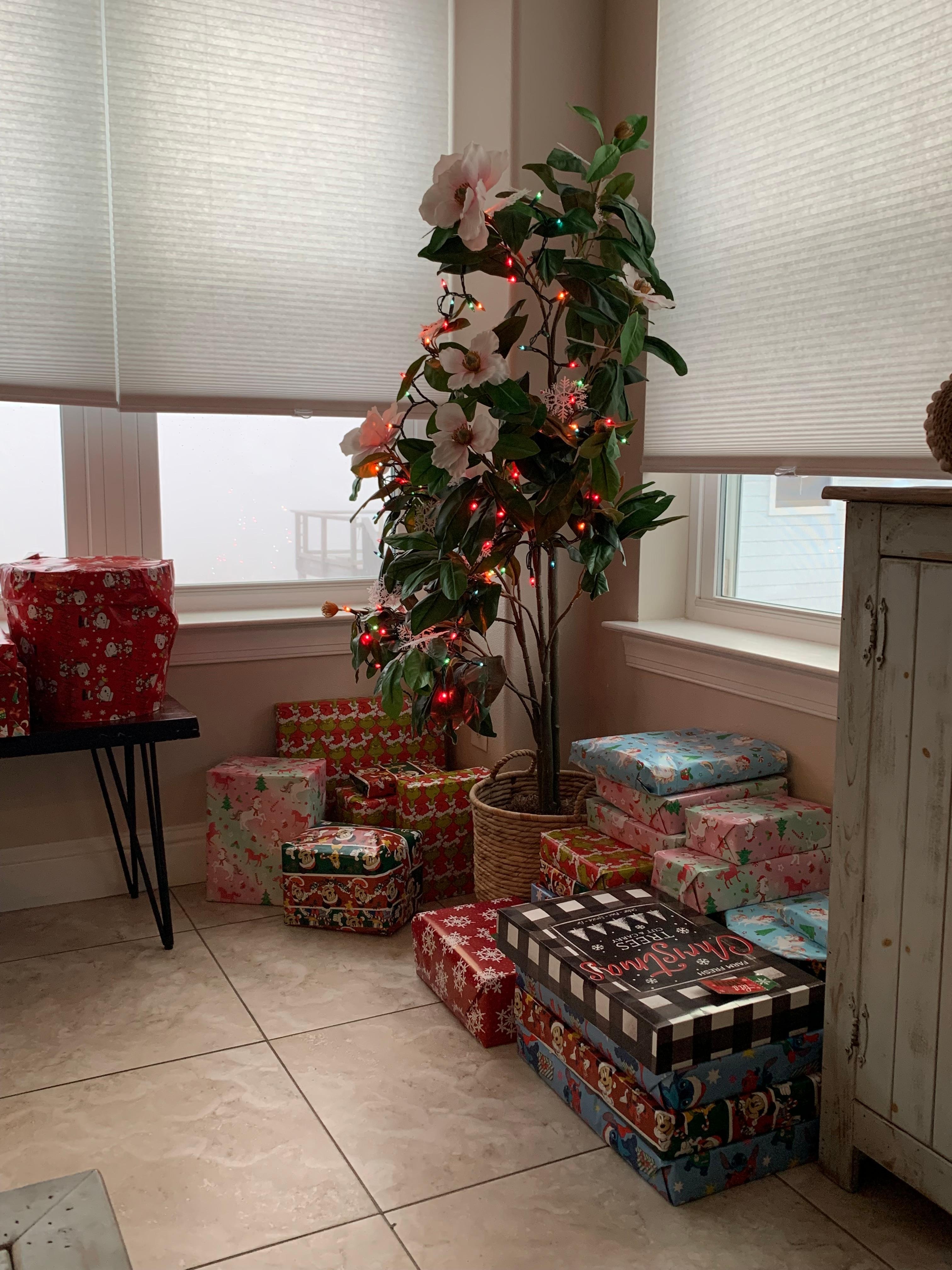 Our little Christmas overlooking the water