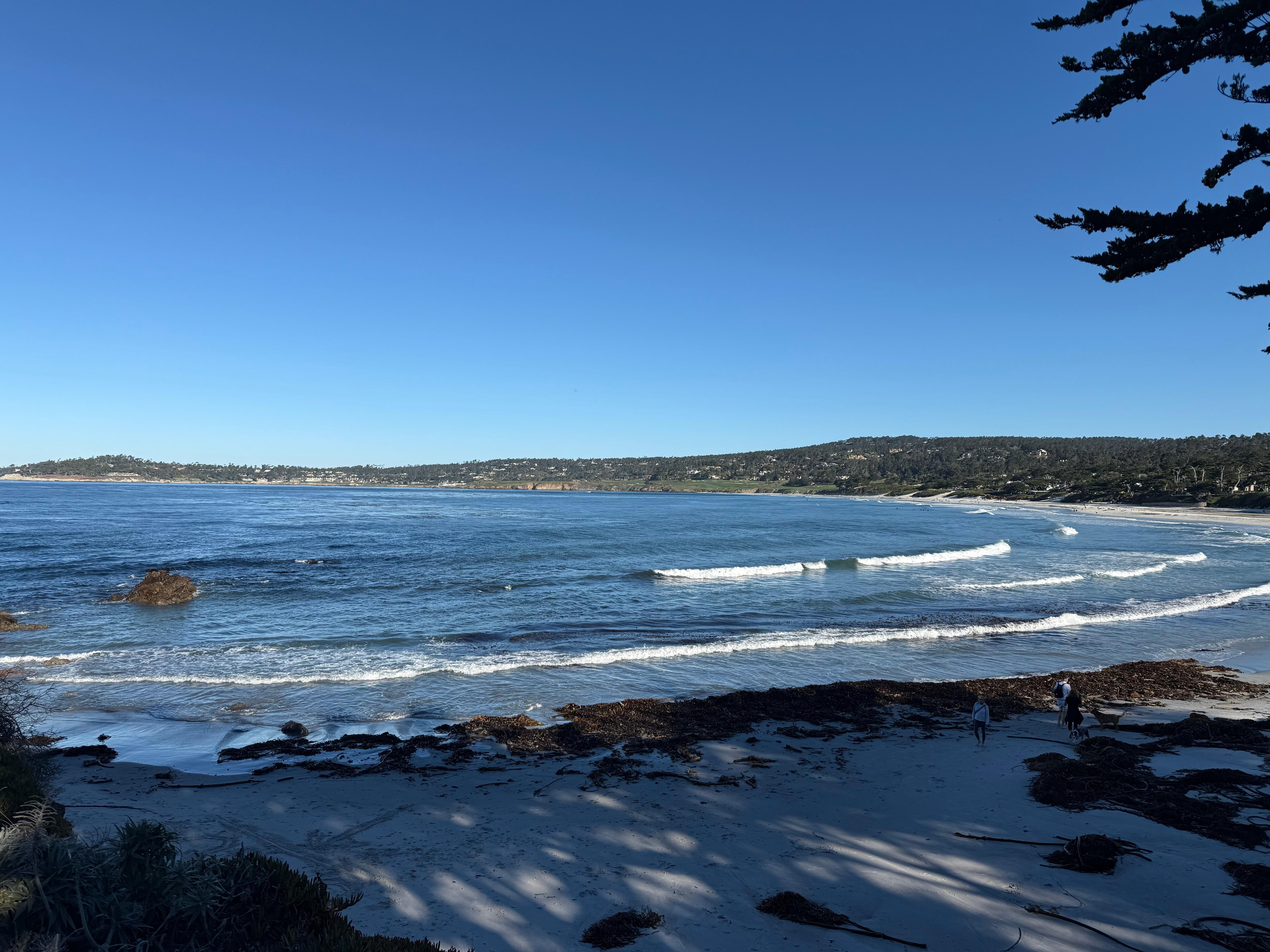 Beautiful Carmel-by-the-Sea beach