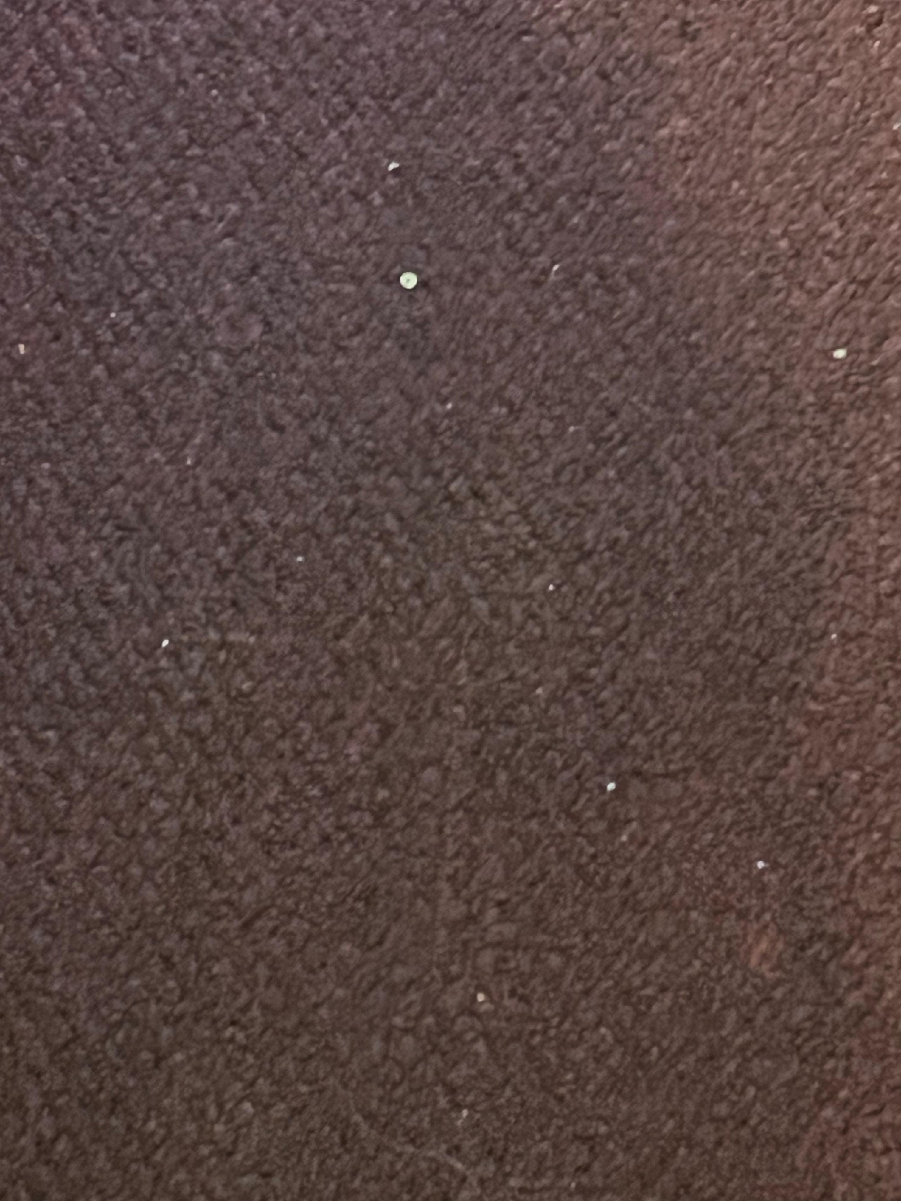 The room just needed vacuuming, between guests. Clear sequins on the floor and in the doorway. 