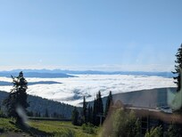 Morning view from the dining area window