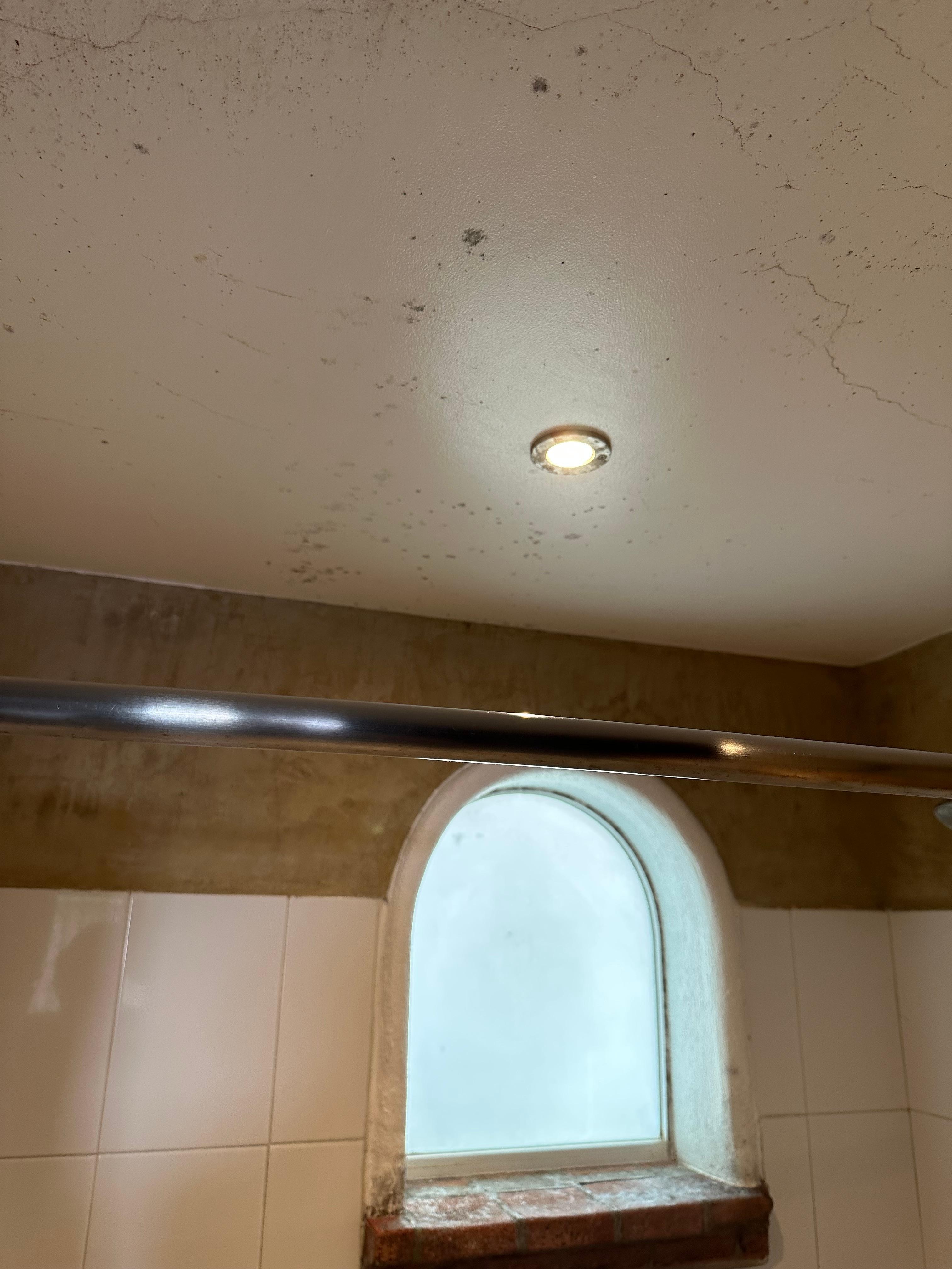 Mold on ceiling

Clean everywhere else.   