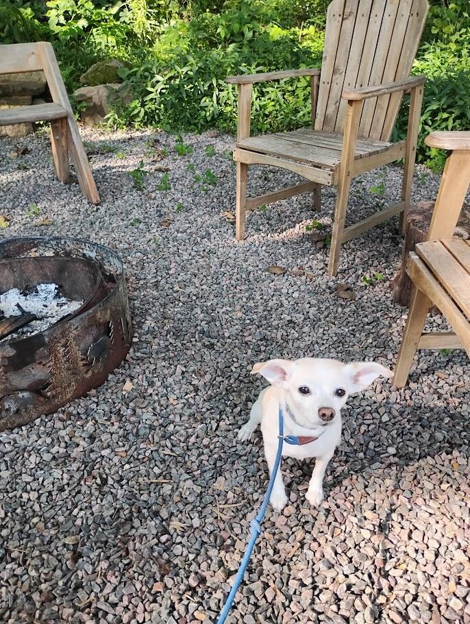 Cabin firepit in back OF PROPERTY