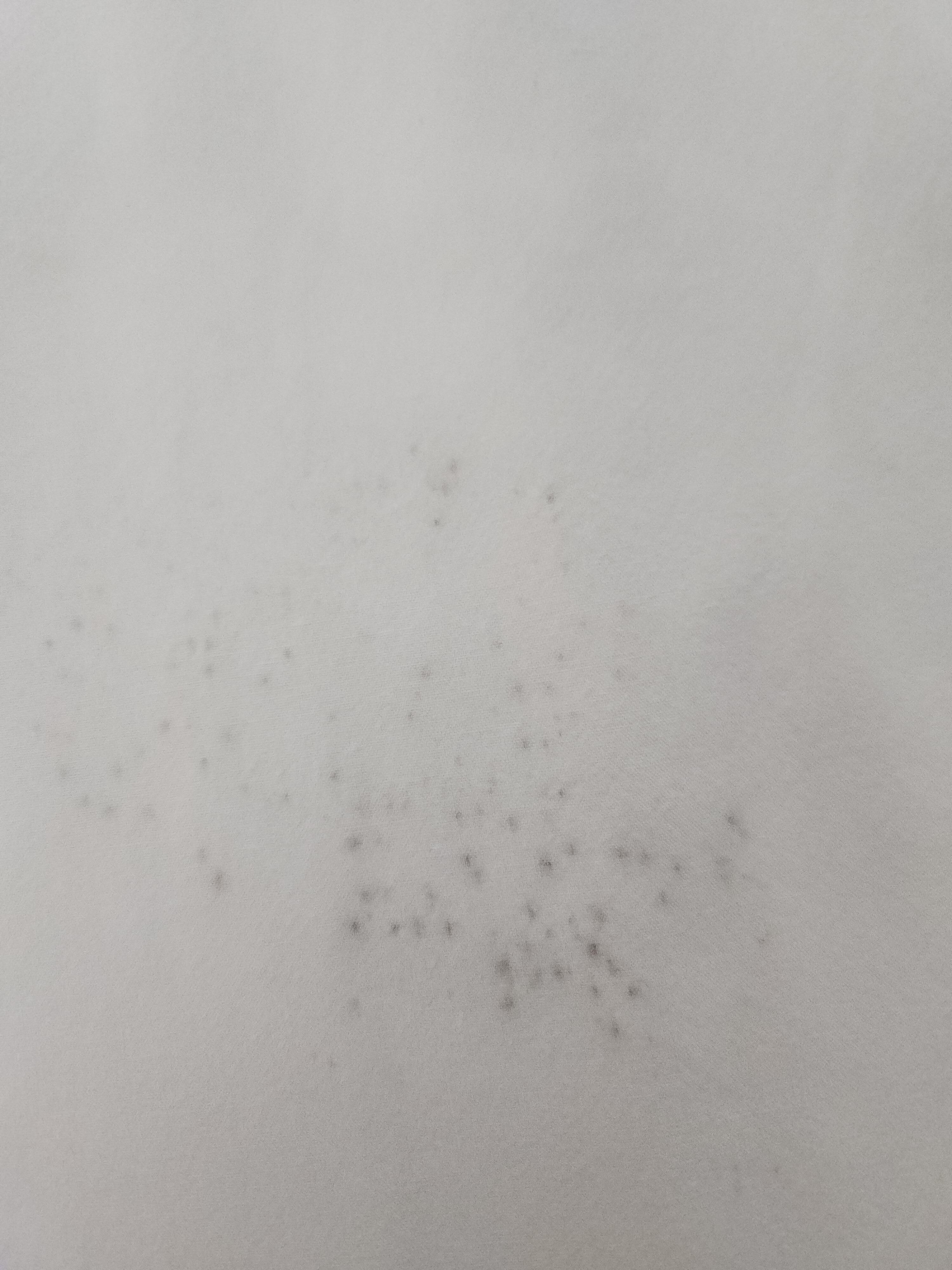 Mold on my sheets
