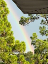 Rainbow after a brief rain. Beautiful trees and blue sky!