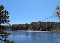 Looking towards the East.