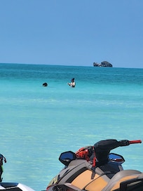 View at Taylor Beach