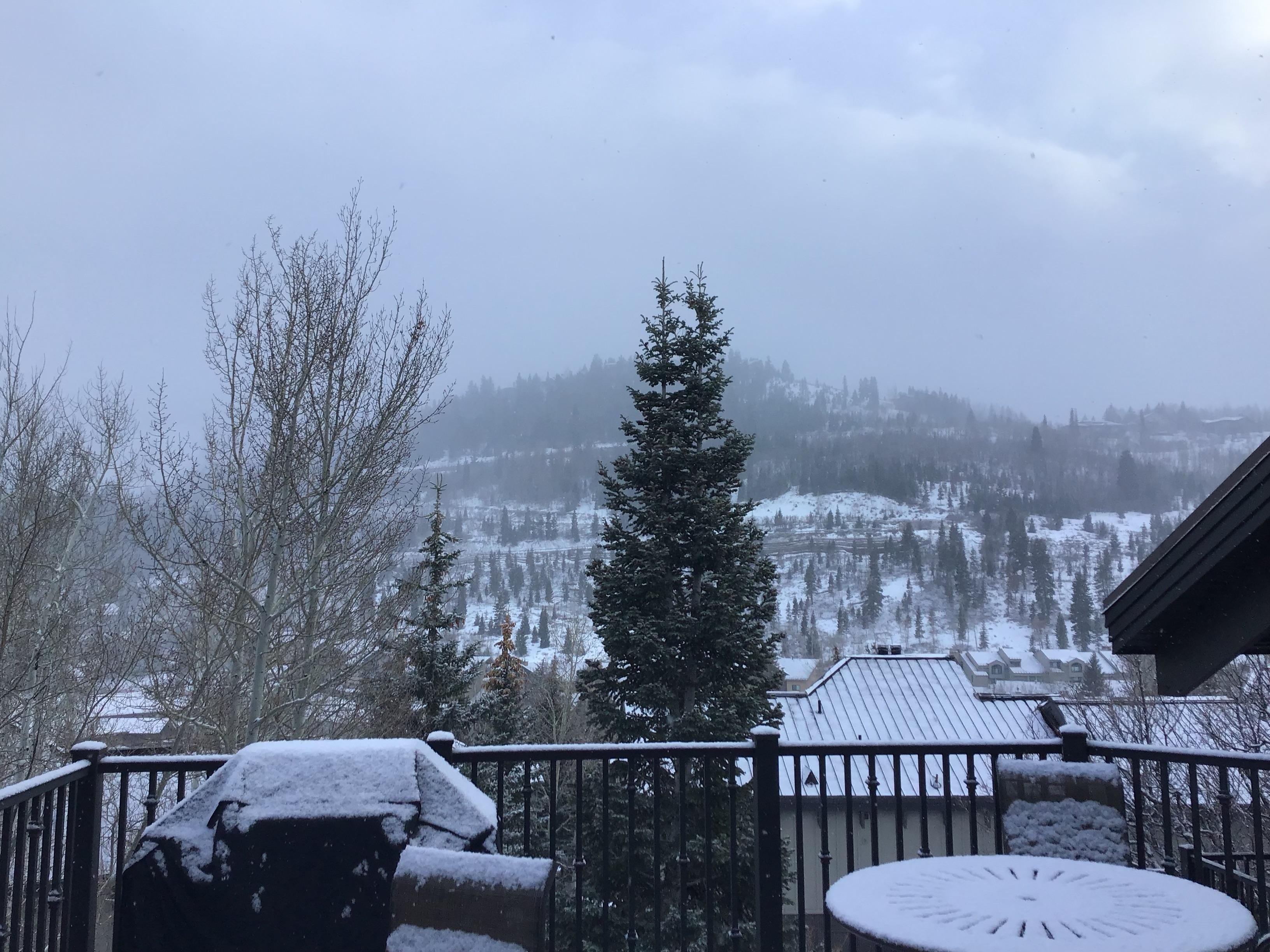 View from one of the balconies