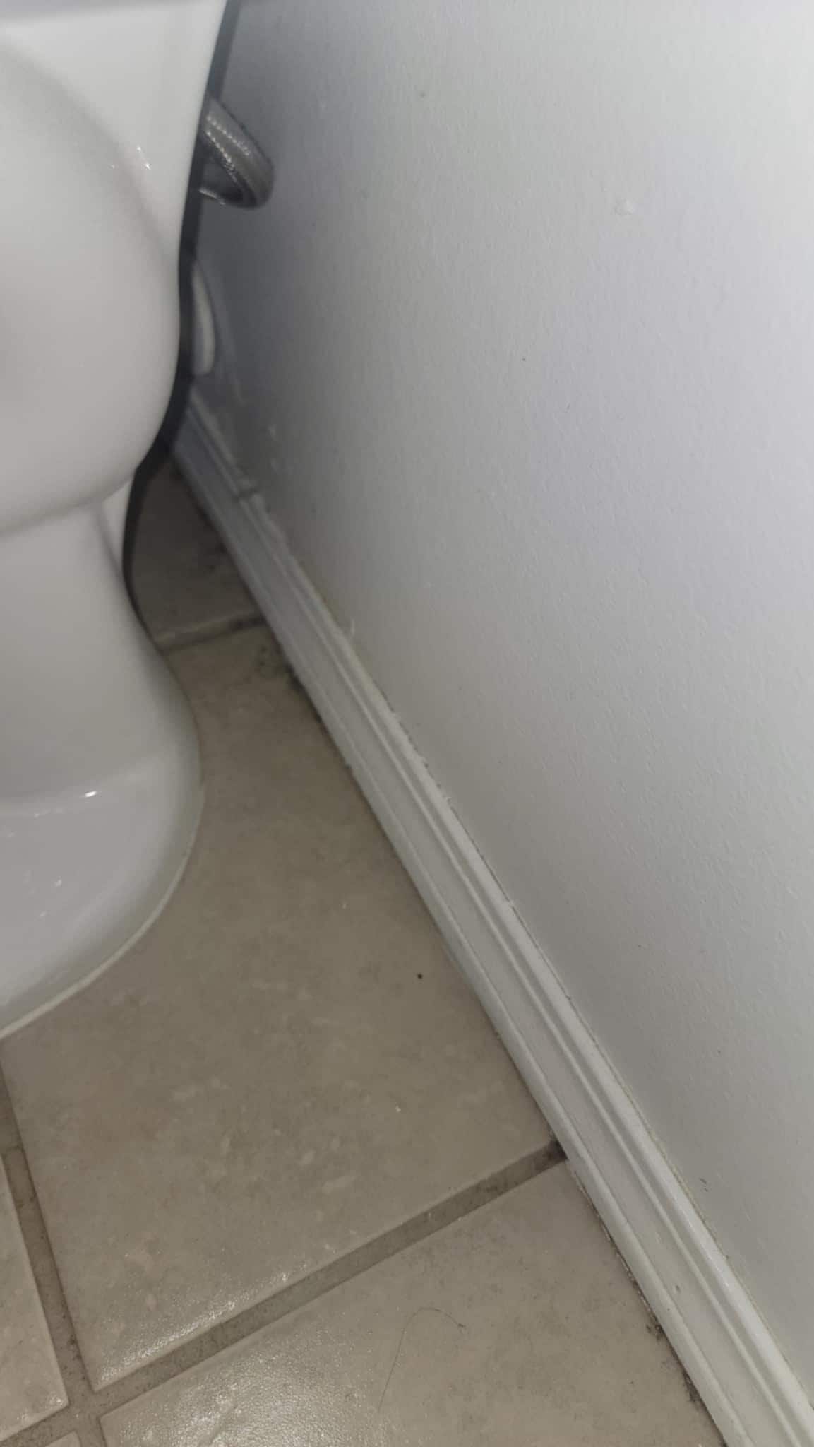 Dirty behind the toilet 