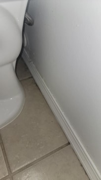 Dirty behind the toilet