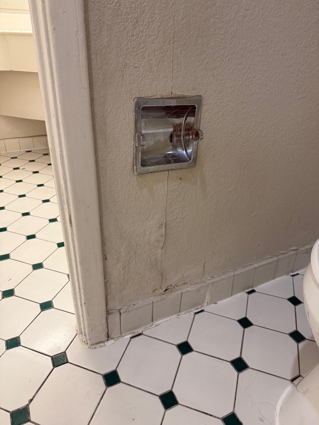 drywall and paint damage everywhere