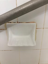 Mold around soap dish. Most of the grout was pink with mildew before I cleaned it