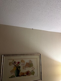 What’s that on the wall?