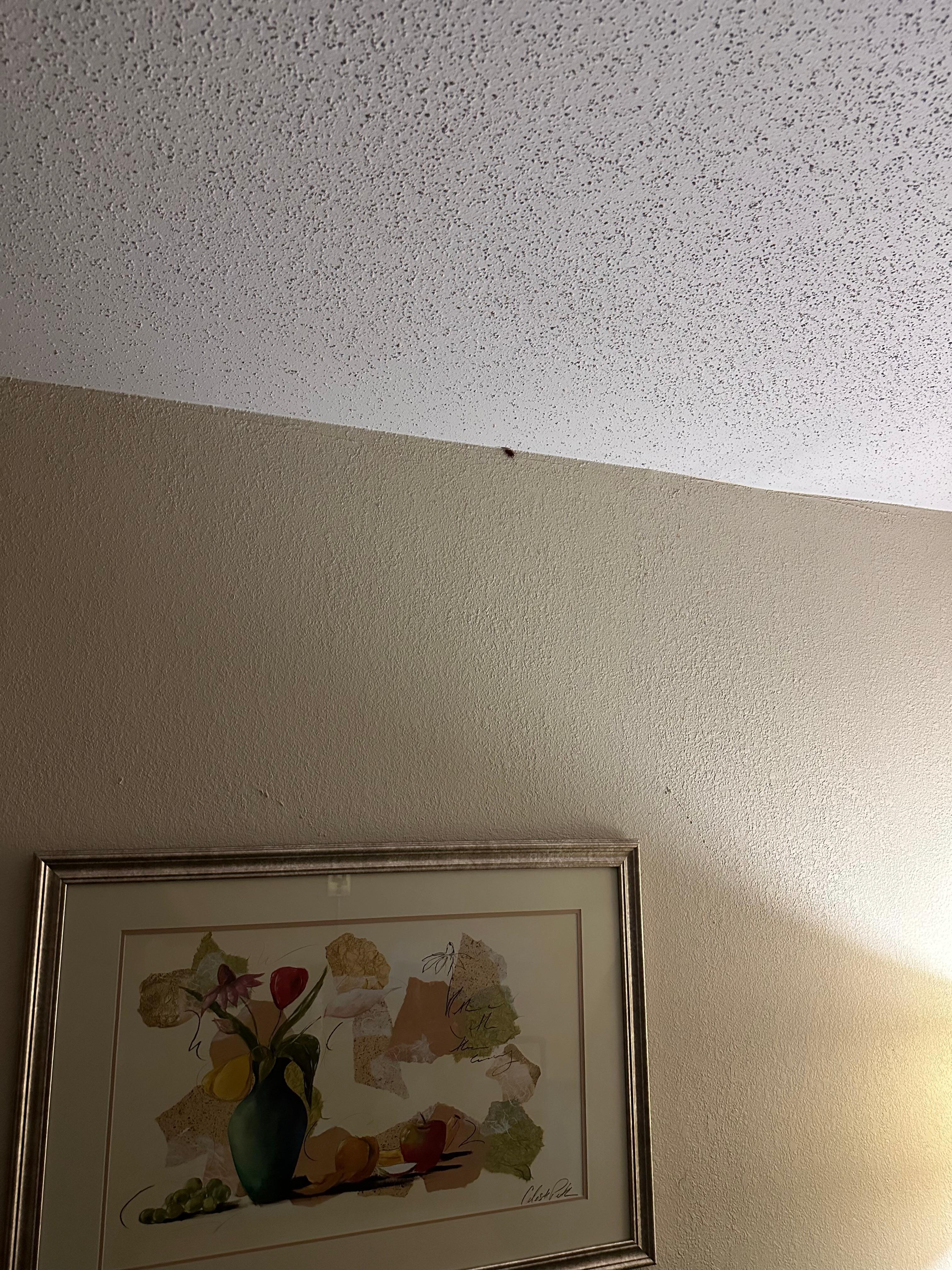 What’s that on the wall?