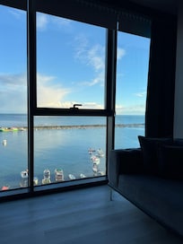 The view from the living room