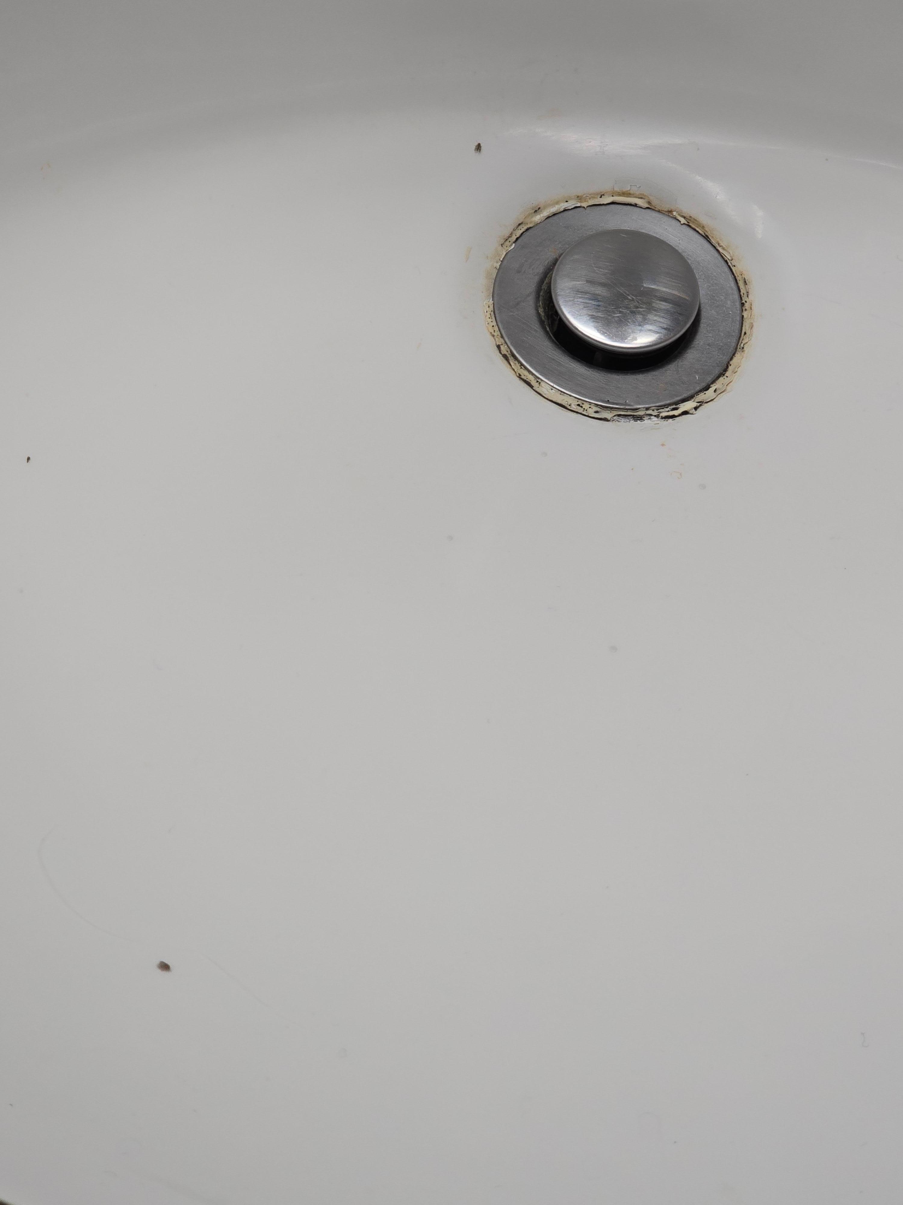 Gnats in the sink area every morning