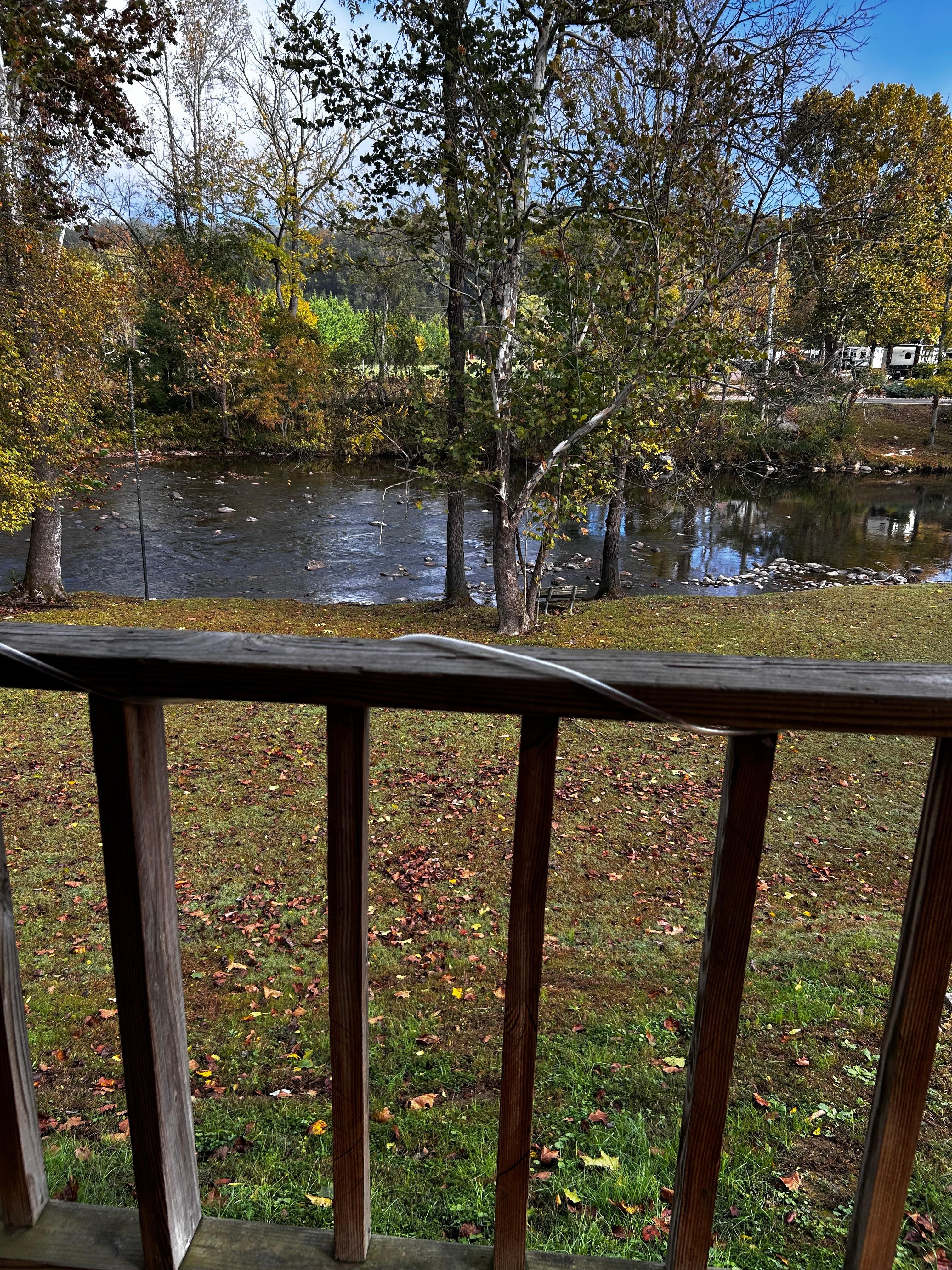 View from back porch