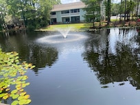 Can fish