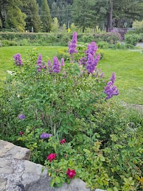 Beautiful and fragrant gardens