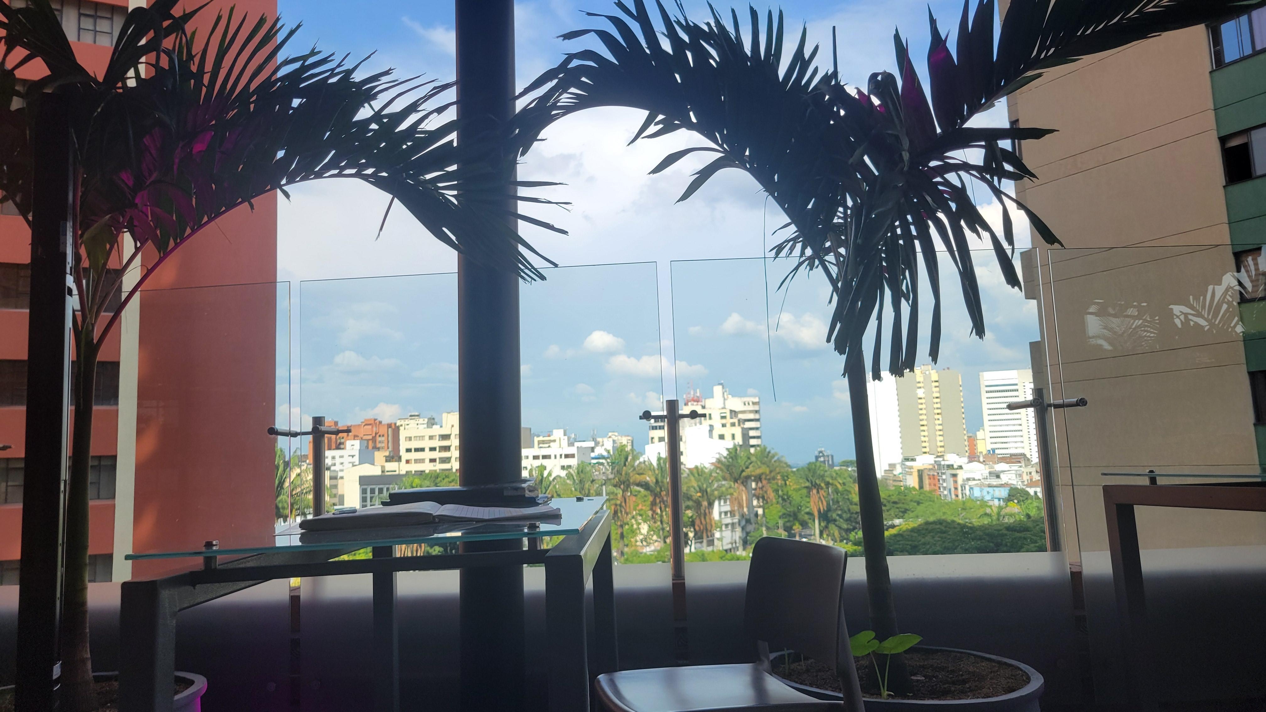 The view from the pool