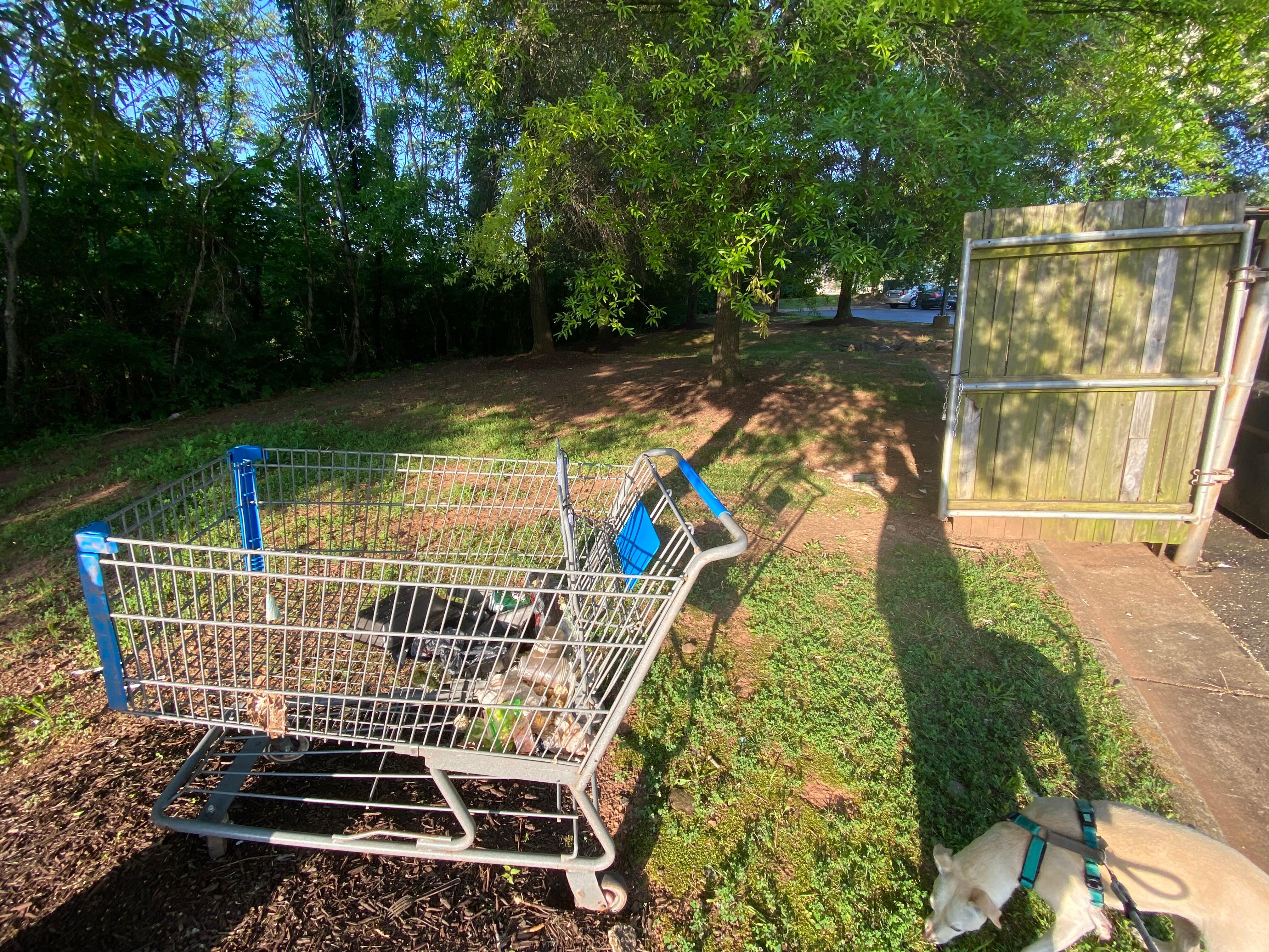 Nice shopping cart by the drug use area