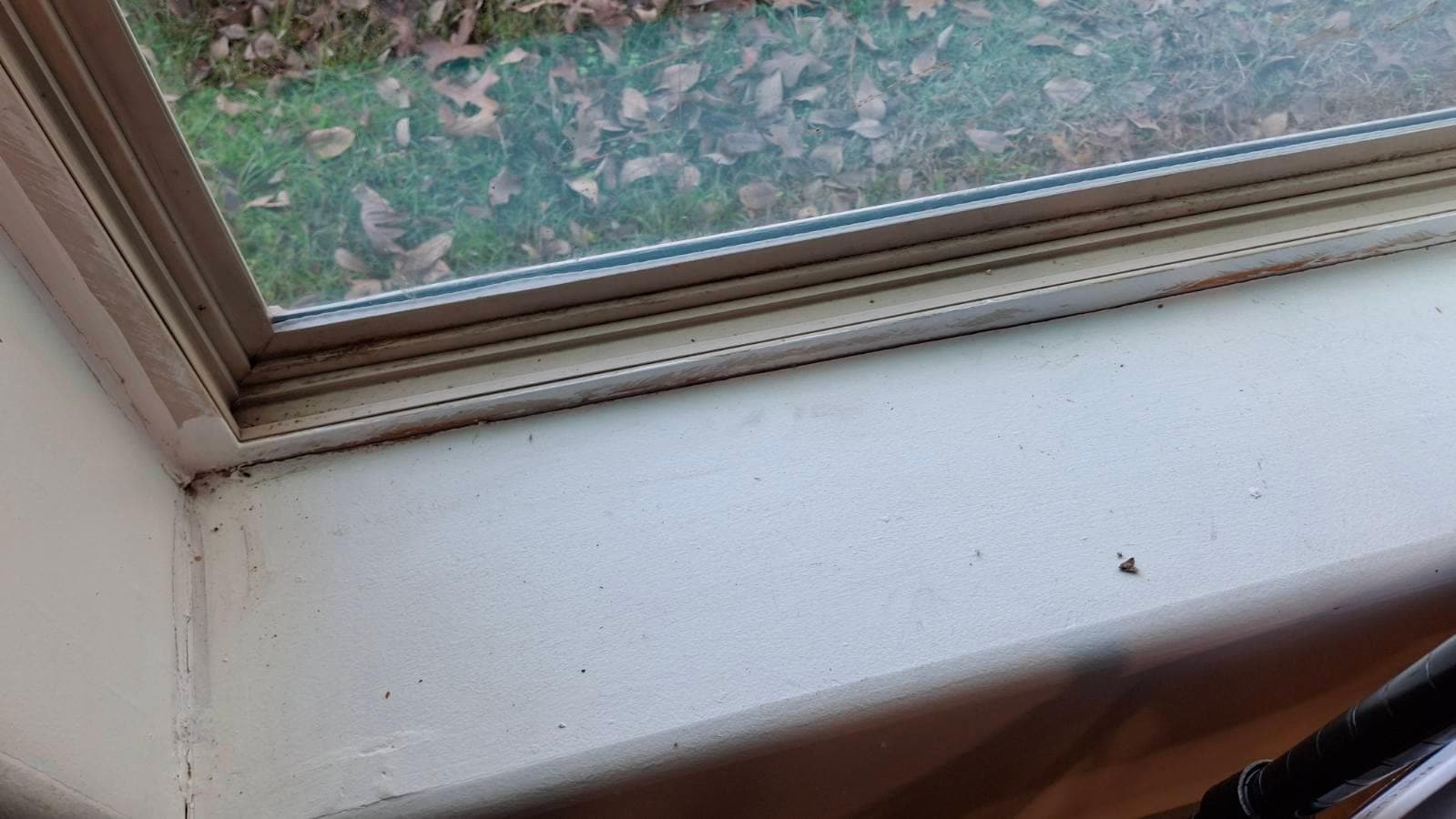 All windows and window seals look like they haven't been cleaned in years 